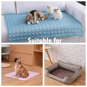 pet supplies
